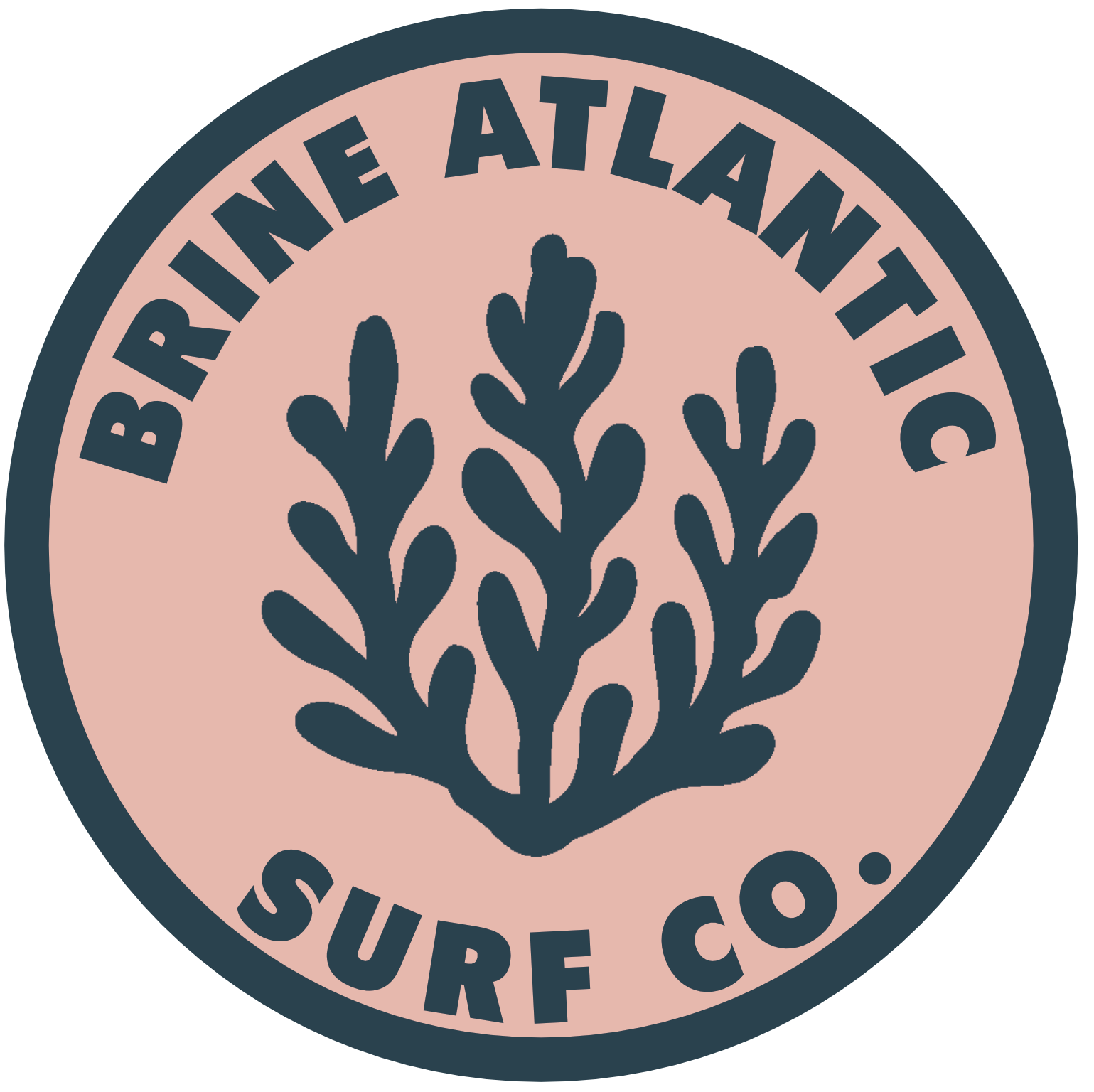 Brine Atlantic Surf Co.
